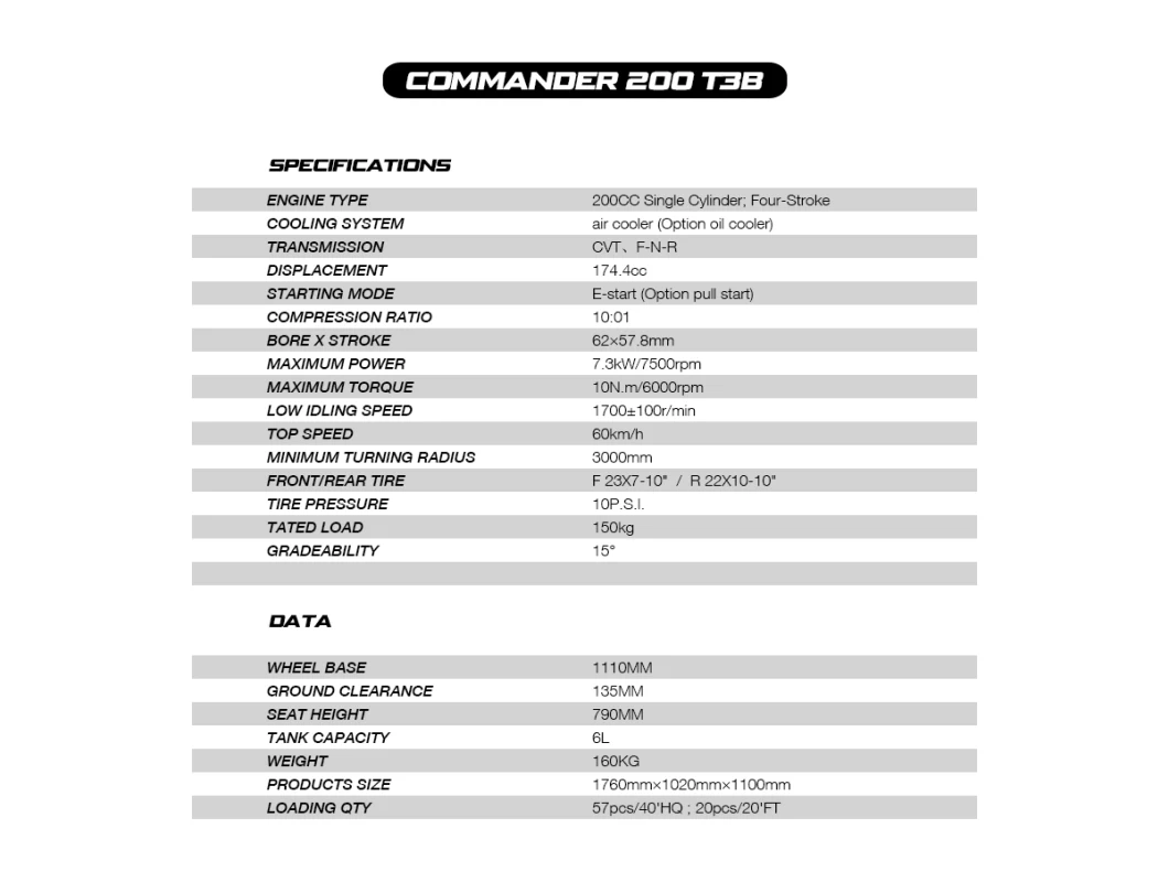 Commander 200 T3b EEC ATV, 10 Inch Wheel, LCD Speedmeter, China ATV, 200cc Apollo Electric ATV Kids ATV Electric Scooter Electric Jeep Kid ATV 4 Wheeler Atvs