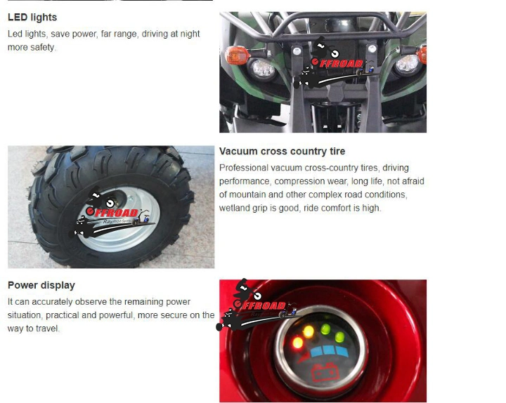 Factory Direct Sale Stable Quality Quad Adult Electric ATV 3000W