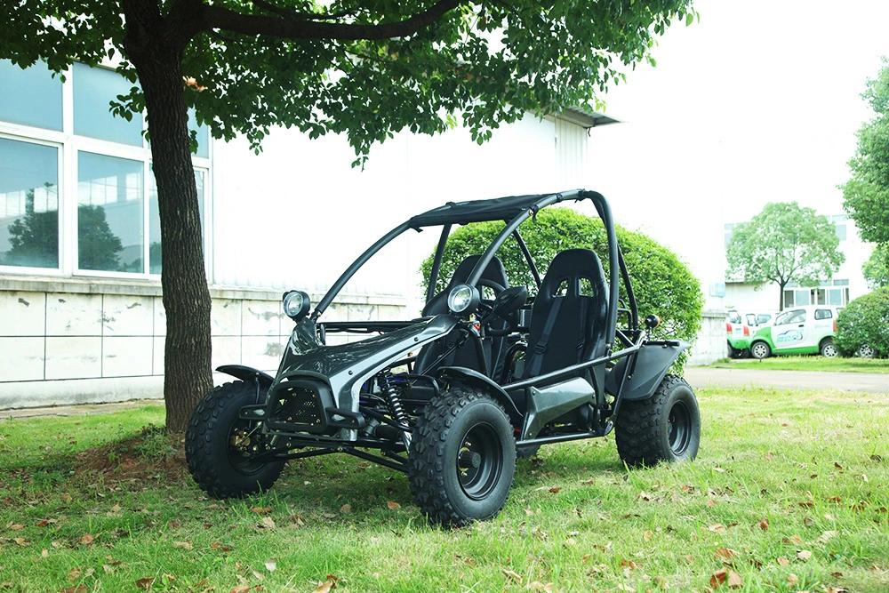 Racing Adult Buggy 200cc Cheap Gas Powered Go Kart