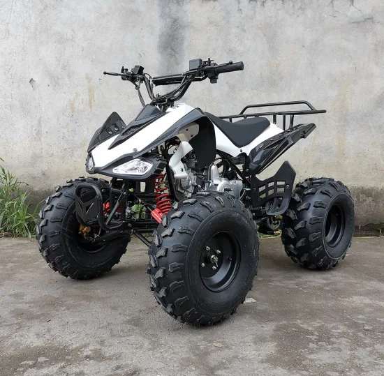 110cc 125cc 4륜 가스 사륜차 쿼드 ATV 자전거