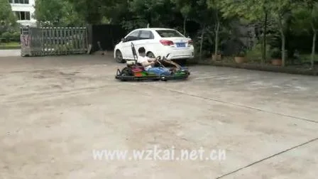 성인 레이싱 페달 가솔린 전기 스타터 177f 270cc 4 스트로크 9HP Ce 승인 Go Kart Car