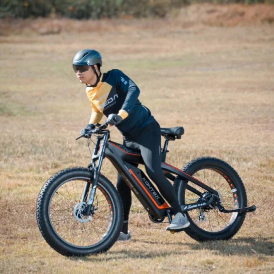 전기 산악 자전거 먼지 자전거 750 1000W 두 바퀴 E-자전거 자전거 Bici Eletrica