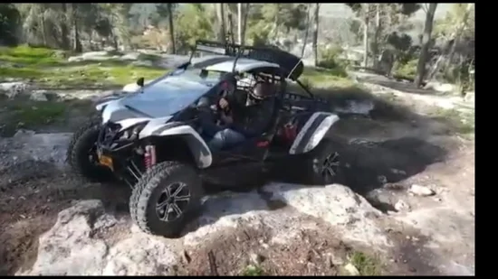 500cc 4X4 28kw Doppelsitze 오프로드 듄 버기 UTV 고카트