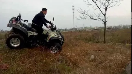 CE가 포함된 4개의 바퀴 가스 스포츠 ATV 쿼드 바이크 500cc 4X4