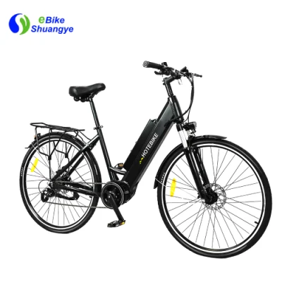 Motorrad Elektro-Mountainbike 60km 리튬 배터리 Shuangye oder Hotebike OEM 750W Elektrofahrrad 1000W Ebike Elektro-Dirtbike